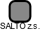 SALTO z.s. - obrázek vizuálního zobrazení vztahů obchodního rejstříku