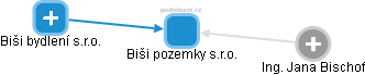 Biši pozemky s.r.o. - obrázek vizuálního zobrazení vztahů obchodního rejstříku