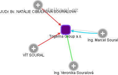 Trigema Group a.s. - obrázek vizuálního zobrazení vztahů obchodního rejstříku