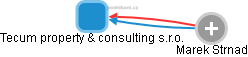 Tecum property & consulting s.r.o. - obrázek vizuálního zobrazení vztahů obchodního rejstříku