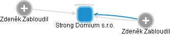 Strong Domium s.r.o. - obrázek vizuálního zobrazení vztahů obchodního rejstříku