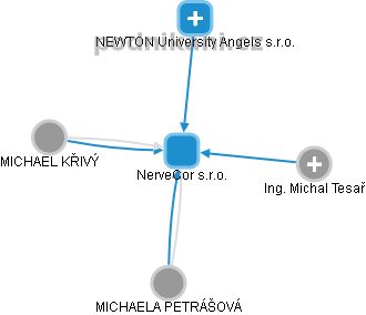 NerveCor s.r.o. - obrázek vizuálního zobrazení vztahů obchodního rejstříku