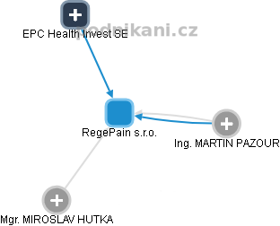 RegePain s.r.o. - obrázek vizuálního zobrazení vztahů obchodního rejstříku