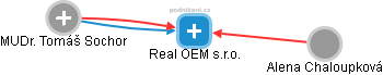 Real OEM s.r.o. - obrázek vizuálního zobrazení vztahů obchodního rejstříku