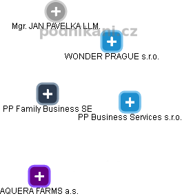 PP Family Business SE - obrázek vizuálního zobrazení vztahů obchodního rejstříku
