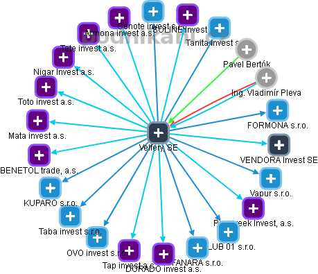 Velfery, SE - obrázek vizuálního zobrazení vztahů obchodního rejstříku