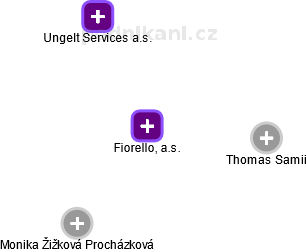 Fiorello, a.s. - obrázek vizuálního zobrazení vztahů obchodního rejstříku