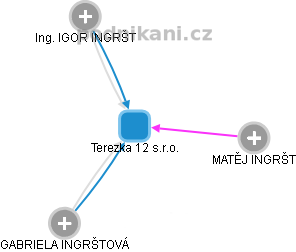 Terezka 12 s.r.o. - obrázek vizuálního zobrazení vztahů obchodního rejstříku