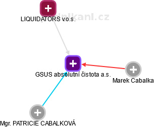 GSUS absolutní čistota a.s. - obrázek vizuálního zobrazení vztahů obchodního rejstříku