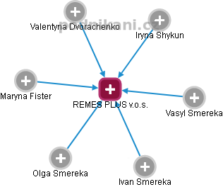REMES PLUS v.o.s. - obrázek vizuálního zobrazení vztahů obchodního rejstříku