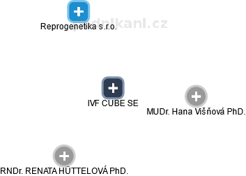 IVF CUBE SE - obrázek vizuálního zobrazení vztahů obchodního rejstříku