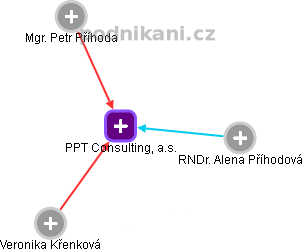 PPT Consulting, a.s. - obrázek vizuálního zobrazení vztahů obchodního rejstříku
