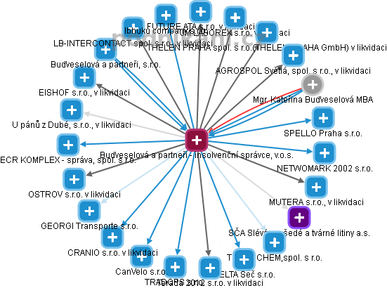 Buďveselová a partneři - insolvenční správce, v.o.s. - obrázek vizuálního zobrazení vztahů obchodního rejstříku
