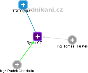 Rybex CZ a.s. - obrázek vizuálního zobrazení vztahů obchodního rejstříku