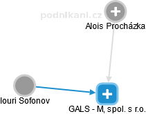 GALS - M, spol. s r.o. - obrázek vizuálního zobrazení vztahů obchodního rejstříku
