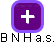 B N H a.s. - obrázek vizuálního zobrazení vztahů obchodního rejstříku