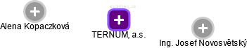 TERNUM, a.s. - obrázek vizuálního zobrazení vztahů obchodního rejstříku