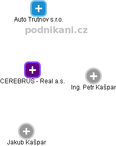 CEREBRUS - Real a.s. - obrázek vizuálního zobrazení vztahů obchodního rejstříku