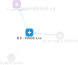 B.S. - KINGS s.r.o. - obrázek vizuálního zobrazení vztahů obchodního rejstříku