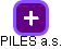 PILES a.s. - obrázek vizuálního zobrazení vztahů obchodního rejstříku