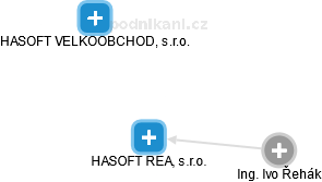 HASOFT REAL, s.r.o. - obrázek vizuálního zobrazení vztahů obchodního rejstříku
