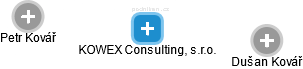 KOWEX Consulting, s.r.o. - obrázek vizuálního zobrazení vztahů obchodního rejstříku