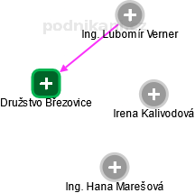 Družstvo Březovice - obrázek vizuálního zobrazení vztahů obchodního rejstříku