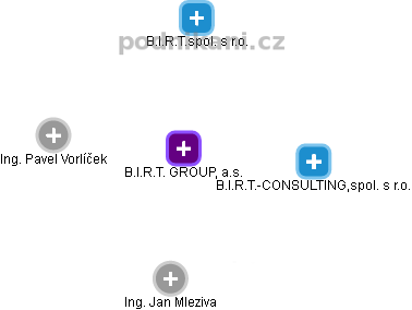 B.I.R.T. GROUP, a.s. - obrázek vizuálního zobrazení vztahů obchodního rejstříku
