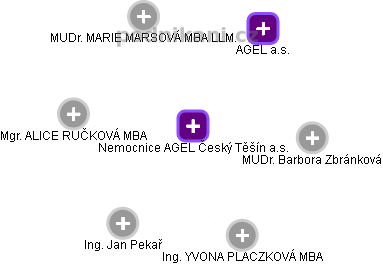 Nemocnice AGEL Český Těšín a.s. - obrázek vizuálního zobrazení vztahů obchodního rejstříku