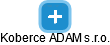 Koberce ADAM s.r.o. - obrázek vizuálního zobrazení vztahů obchodního rejstříku