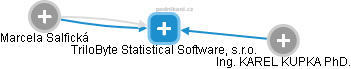 TriloByte Statistical Software, s.r.o. - obrázek vizuálního zobrazení vztahů obchodního rejstříku