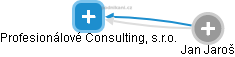 Profesionálové Consulting, s.r.o. - obrázek vizuálního zobrazení vztahů obchodního rejstříku