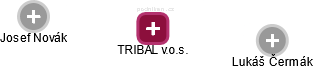 TRIBAL v.o.s. - obrázek vizuálního zobrazení vztahů obchodního rejstříku