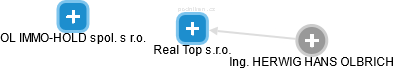Real Top s.r.o. - obrázek vizuálního zobrazení vztahů obchodního rejstříku