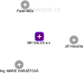 MH SALUS a.s. - obrázek vizuálního zobrazení vztahů obchodního rejstříku