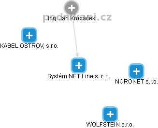 Systém NET Line s. r. o. - obrázek vizuálního zobrazení vztahů obchodního rejstříku