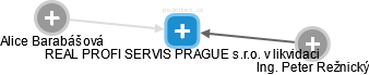 REAL PROFI SERVIS PRAGUE s.r.o. v likvidaci - obrázek vizuálního zobrazení vztahů obchodního rejstříku