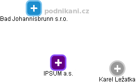 IPSUM a.s. - obrázek vizuálního zobrazení vztahů obchodního rejstříku