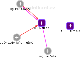 DELIMAX a.s. - obrázek vizuálního zobrazení vztahů obchodního rejstříku