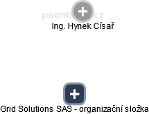 Grid Solutions SAS - organizační složka - obrázek vizuálního zobrazení vztahů obchodního rejstříku