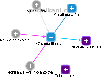 MZ consulting s.r.o. - obrázek vizuálního zobrazení vztahů obchodního rejstříku