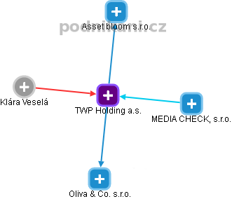 TWP Holding a.s. - obrázek vizuálního zobrazení vztahů obchodního rejstříku