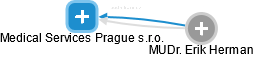 Medical Services Prague s.r.o. - obrázek vizuálního zobrazení vztahů obchodního rejstříku