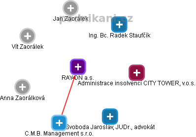 RAY-ON a.s. - obrázek vizuálního zobrazení vztahů obchodního rejstříku