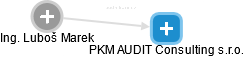 PKM AUDIT Consulting s.r.o. - obrázek vizuálního zobrazení vztahů obchodního rejstříku