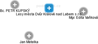 Lesy města Dvůr Králové nad Labem s.r.o. - obrázek vizuálního zobrazení vztahů obchodního rejstříku
