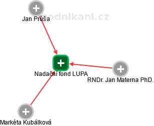 Nadační fond LUPA - obrázek vizuálního zobrazení vztahů obchodního rejstříku