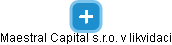 Maestral Capital s.r.o. v likvidaci - obrázek vizuálního zobrazení vztahů obchodního rejstříku