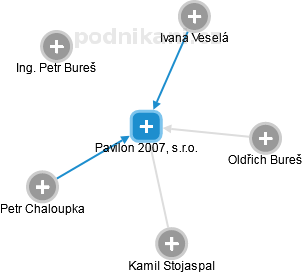 Pavilon 2007, s.r.o. - obrázek vizuálního zobrazení vztahů obchodního rejstříku