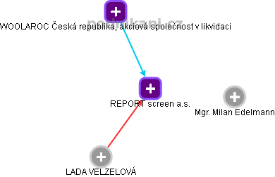 REPORT screen a.s. - obrázek vizuálního zobrazení vztahů obchodního rejstříku